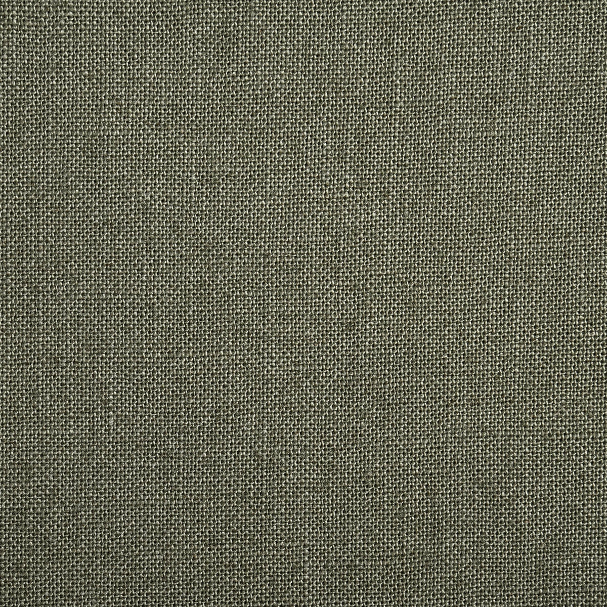 Linen Fresco Olive Green Dress Pant - 16
