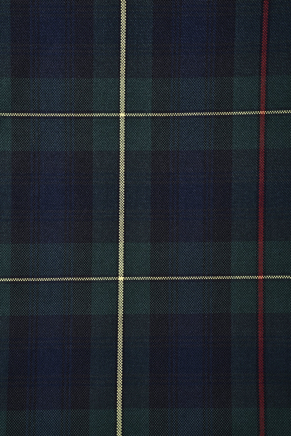 Navy Green Red Bold Checks - 6
