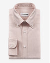 Pale Orange University Stripes Oxford Shirt