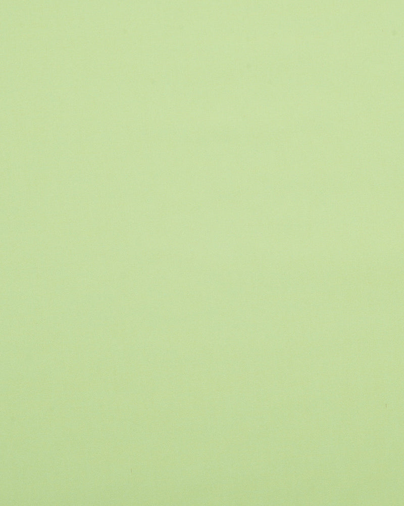 Light Green Pinpoint Oxford Shirt