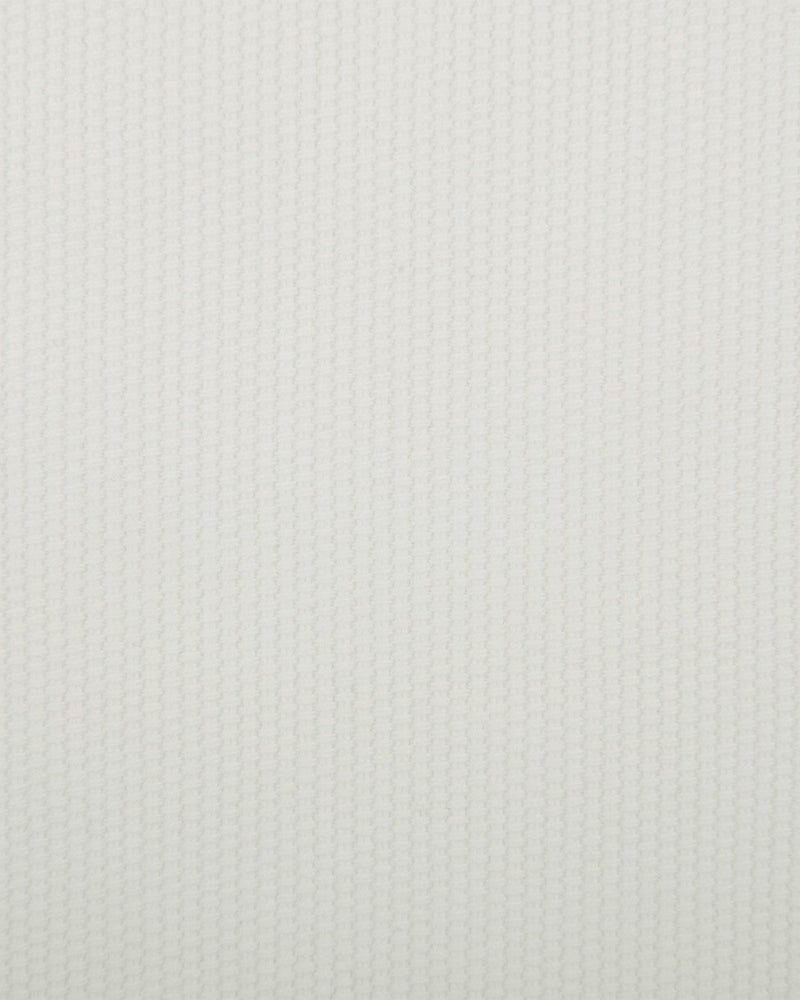 Off-White Cotton Canvas