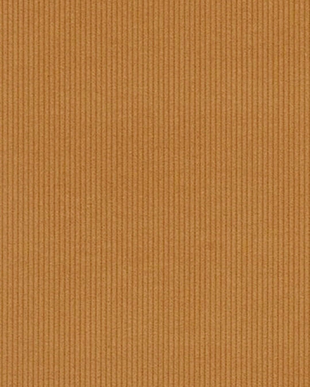 Brisbane Moss Gold Needlecord - 2