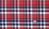 Bright Red Blue Madras Checks (4572480964)