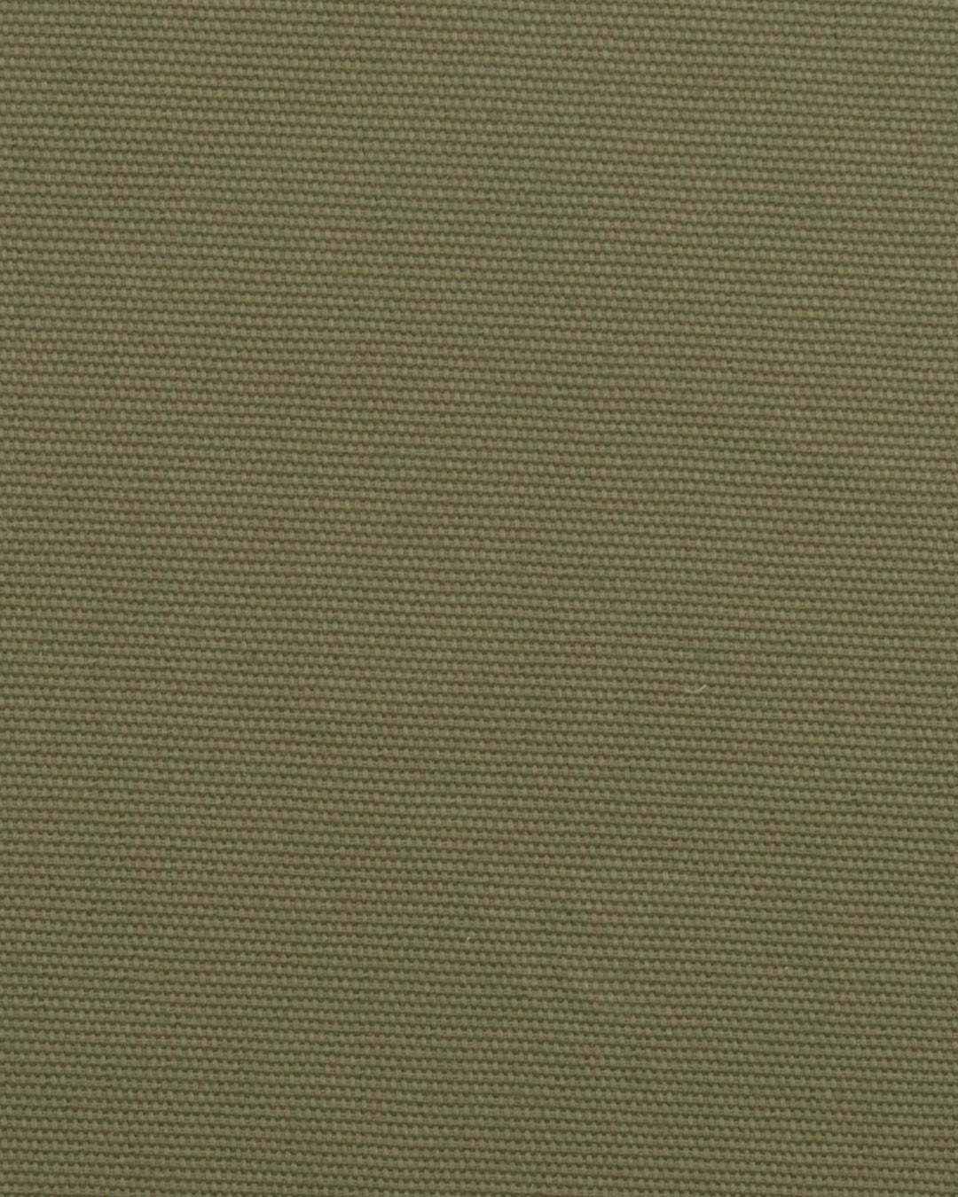 Military Olive Canvas