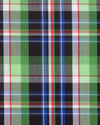 Green Black Blue Madras Checks
